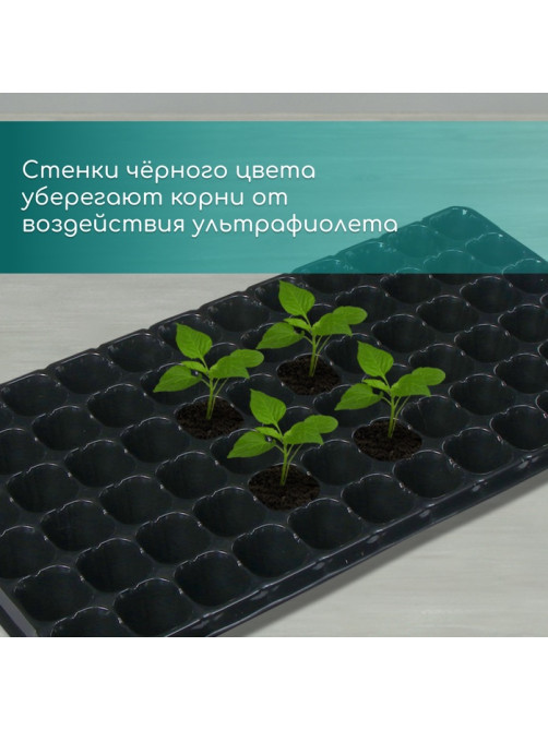 Кассета для рассады, на 72 ячейки, по 50 мл, из пластика, чёрная, 54×28×4 см, Greengo