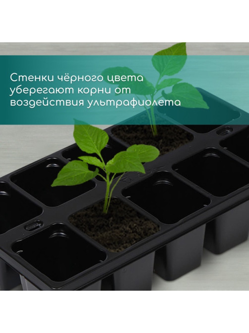 Кассета для рассады Greengo на 10 ячеек, по 100 мл, пластиковая, чёрная, 25×14×5 см