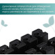 Кассета для рассады Greengo на 10 ячеек, по 100 мл, пластиковая, чёрная, 25×14×5 см