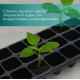 Кассета для выращивания рассады Greengo на 21 ячейку, по 200 мл, из пластика, 54×28×10 см
