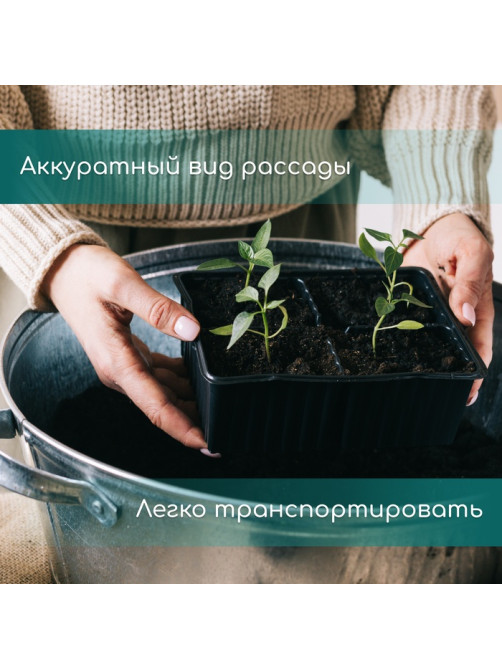 Кассета для рассады, на 72 ячейки, по 50 мл, из пластика, чёрная, 54×28×4 см, Greengo