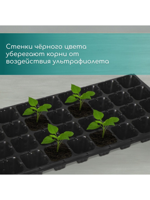 Кассета для рассады, на 32 ячейки, по 110 мл, пластиковая, чёрная, 53.5×27×5.5 см, Greengo