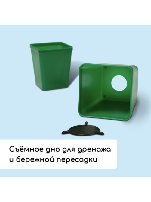 Набор для рассады: стаканы по 600 мл (8 шт.), поддон 36×18 см, цвет МИКС, Greengo