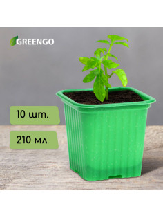 Горшок для рассады, 210 мл, d=7 см, h=6.5 см, зелёный, в наборе 10 шт., Greengo