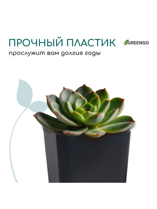 Горшок для рассады, 600 мл, 8×8×15 см, пластик, МИКС, Greengo