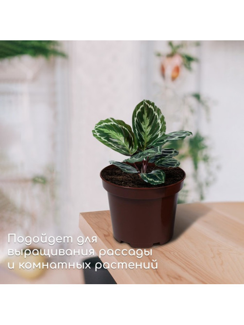 Горшок для рассады, 3 л, d=19 см, h=15 см, МИКС, Greengo