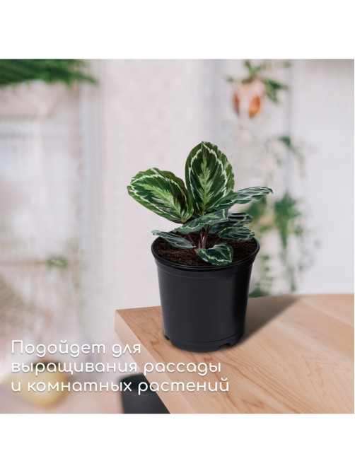Горшок для рассады, 1 л, d=13 см, h=10.5 см, чёрный, Greengo