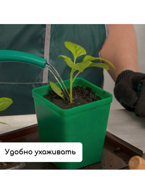 Набор для рассады: стаканы по 600 мл (8 шт.), поддон 36×18 см, цвет МИКС, Greengo