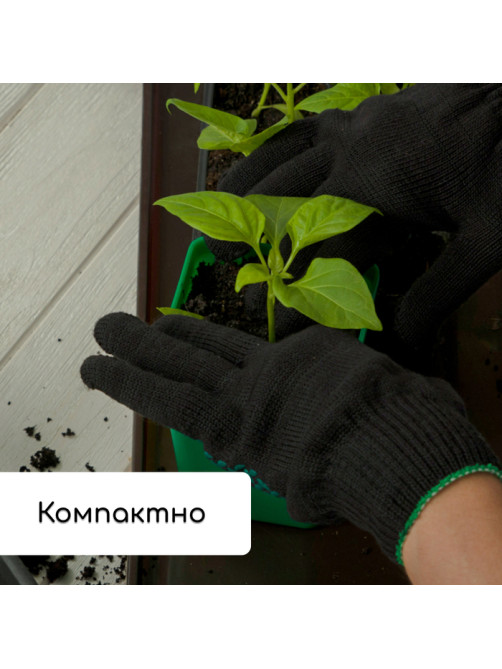 Набор для рассады: стаканы по 600 мл (8 шт.), поддон 36×18 см, цвет МИКС, Greengo