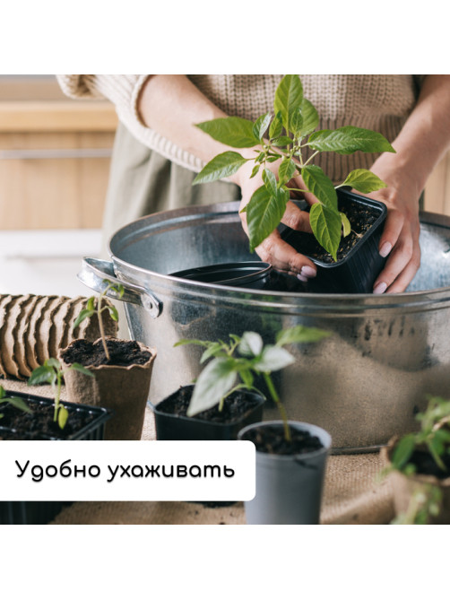 Набор для рассады: стаканы по 320 мл (18 шт.), поддон 51×26 см, Greengo