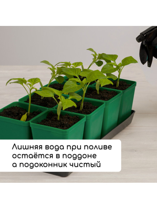 Набор для рассады: стаканы по 600 мл (8 шт.), поддон 36×18 см, цвет МИКС, Greengo