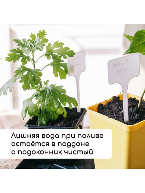 Набор для рассады: стаканы по 320 мл (18 шт.), поддон 51×26 см, Greengo