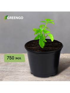 Горшок для рассады, 750 мл, d=12 см, h=10.5 см, чёрный, Greengo