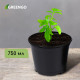 Горшок для рассады, 750 мл, d=12 см, h=10.5 см, чёрный, Greengo