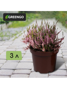 Горшок для рассады, 3 л, d=19 см, h=15 см, МИКС, Greengo
