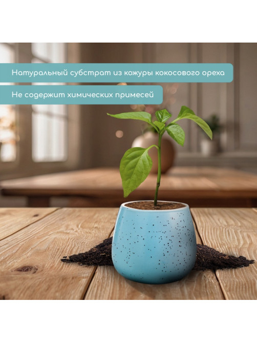 Таблетки кокосовые, для рассады, d=4 см, без оболочки, набор 10 шт., Greengo