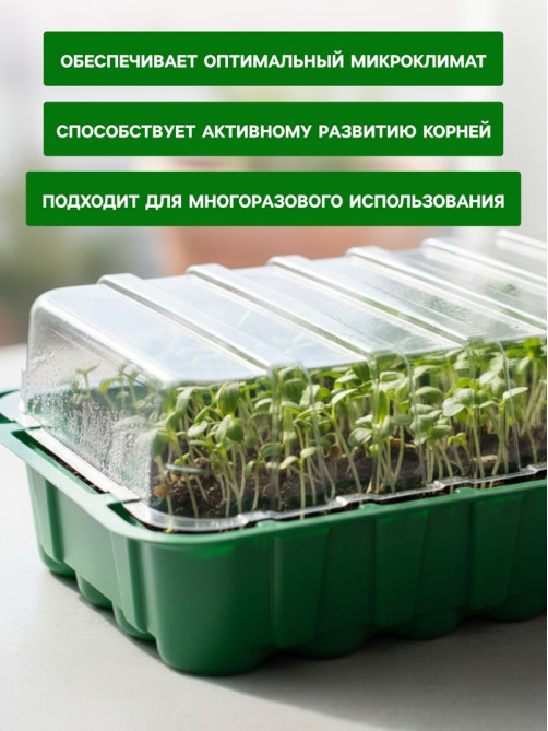 Мини - парник для рассады, 25×17.5×4.5 см, 24 ячейки под таблетки для рассады d=3 см, пластик, Greengo