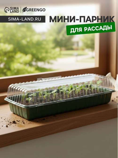 Мини - парник для рассады, 58×21×12 см, без вставок, тёмно-зелёный, пластик, Greengo