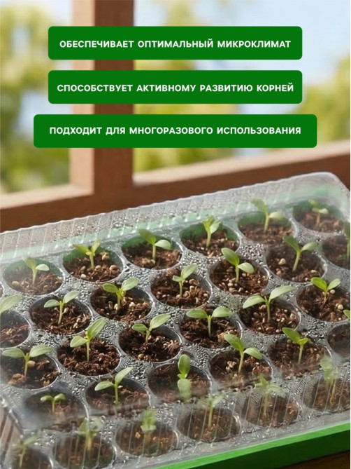 Мини-парник для рассады, 57×36×13.5 см, 1 вставка, 40 ячеек, Greengo