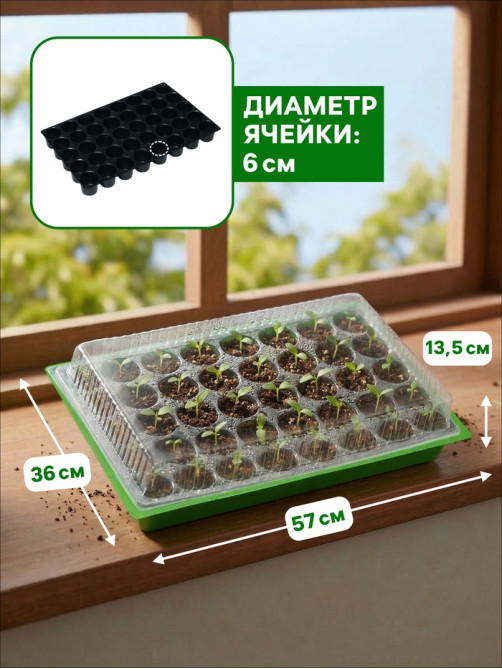 Мини-парник для рассады, 57×36×13.5 см, 1 вставка, 40 ячеек, Greengo