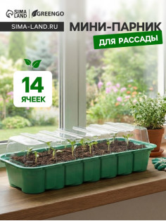 Мини - парник для рассады, 35×13×11 см, 14 ячеек под таблетки для рассады d=4 см, пластик, Greengo