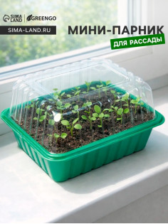 Мини - парник для рассады, 21×16×12, без вставок, пластик, Greengo