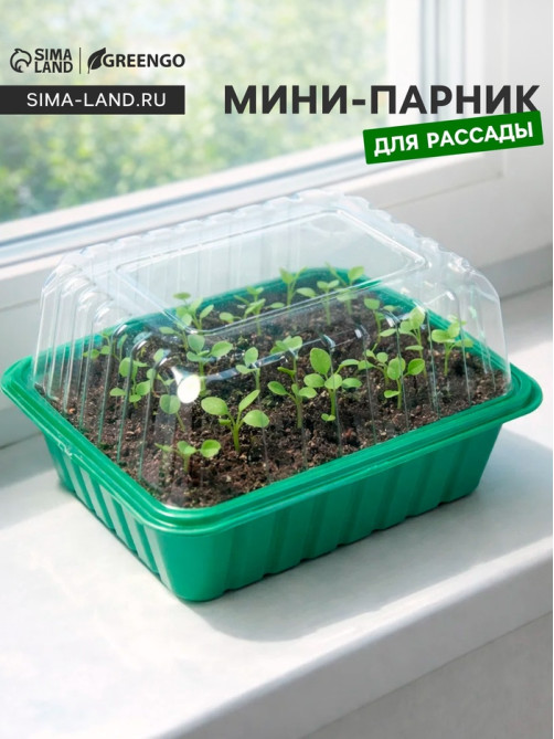 Мини - парник для рассады, 21×16×12, без вставок, пластик, Greengo