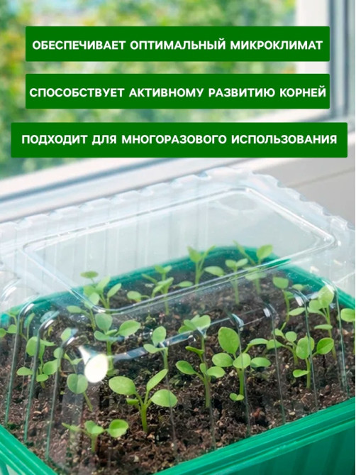 Мини - парник для рассады, 21×16×12, без вставок, пластик, Greengo