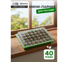 Мини-парник для рассады, 57×36×13.5 см, 1 вставка, 40 ячеек, Greengo