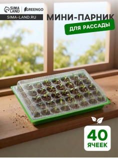 Мини-парник для рассады, 57×36×13.5 см, 1 вставка, 40 ячеек, Greengo