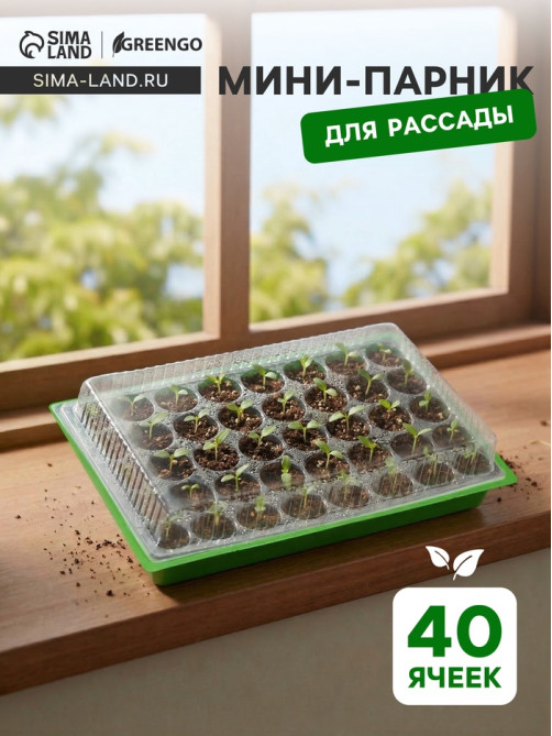 Мини-парник для рассады, 57×36×13.5 см, 1 вставка, 40 ячеек, Greengo