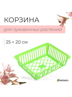 Корзина для луковичных, квадратная, 25×20 см, зелёная, Greengo