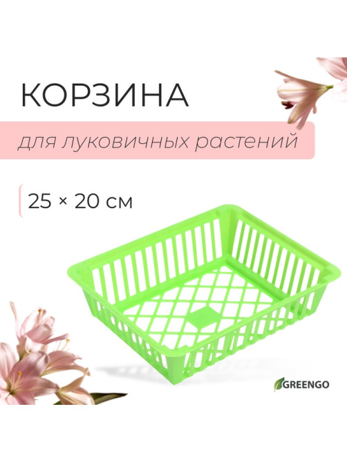 Корзина для луковичных, квадратная, 25×20 см, зелёная, Greengo