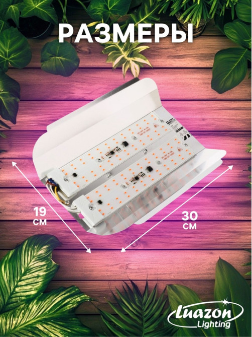 Фитопрожектор для растений Luazon Lighting СДО09-100, светодиодный, 100 Вт, IP65, 220 В, бескорпусный, мультиспектральный
