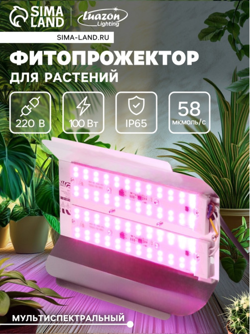 Фитопрожектор для растений Luazon Lighting СДО09-100, светодиодный, 100 Вт, IP65, 220 В, бескорпусный, мультиспектральный