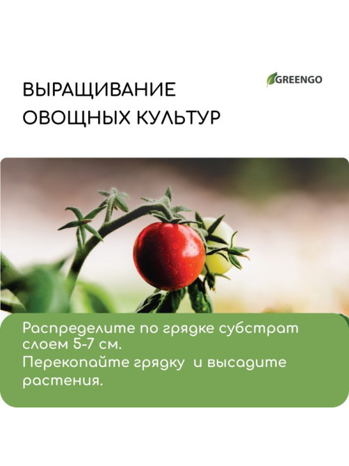 Чипсы кокосовые, для террариумов и растений, в брикете, 5 л, Greengo