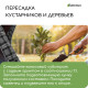 Чипсы кокосовые, для террариумов и растений, в брикете, 5 л, Greengo