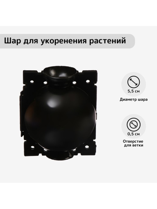 Шар для укоренения растений, d=5.5 см, под ветку 0.5 см, чёрный, Greengo