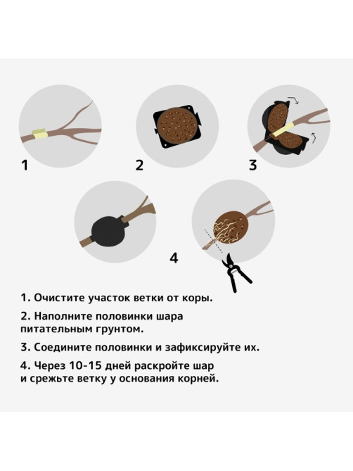 Шар для укоренения растений, d=5.5 см, под ветку 0.5 см, чёрный, Greengo