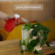 Пульверизатор, 0.5 л, цвет МИКС, Greengo