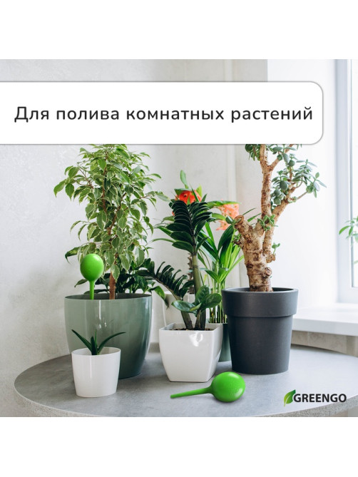 Автополив для комнатных растений, h=28 см, 380 мл, пластик, набор 2 шт., зелёный, Greengo