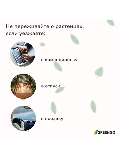Автополив для комнатных растений, h=28 см, 380 мл, пластик, набор 2 шт., зелёный, Greengo