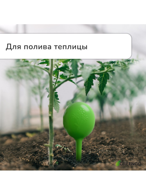 Автополив для комнатных растений, h=28 см, 380 мл, пластик, набор 2 шт., зелёный, Greengo