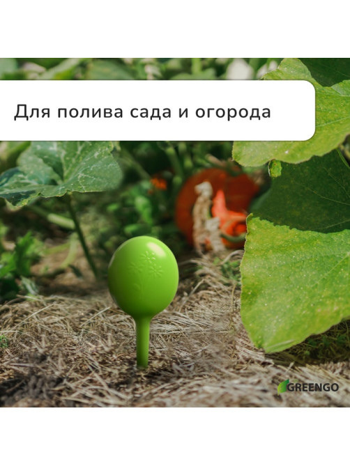 Автополив для комнатных растений, h=28 см, 380 мл, пластик, набор 2 шт., зелёный, Greengo