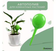 Автополив для комнатных растений, h=28 см, 380 мл, пластик, набор 2 шт., зелёный, Greengo