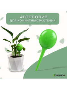 Автополив для комнатных растений, h=28 см, 380 мл, пластик, набор 2 шт., зелёный, Greengo