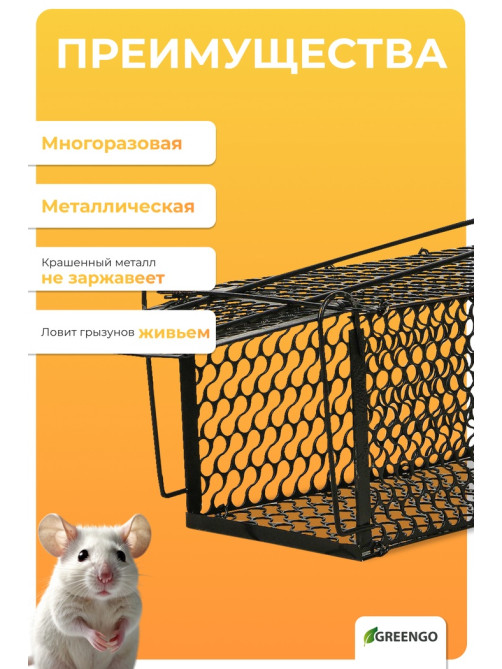 Крысоловка, 36×17×17 см, металлическая, Greengo