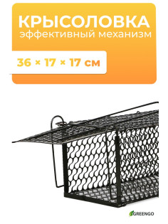 Крысоловка, 36×17×17 см, металлическая, Greengo