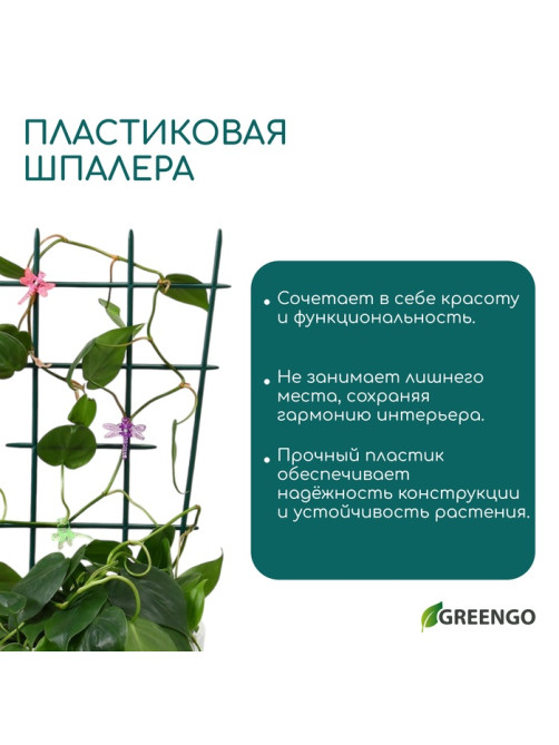 Шпалера, 48×29×0.2 см, пластик, зелёная, Greengo