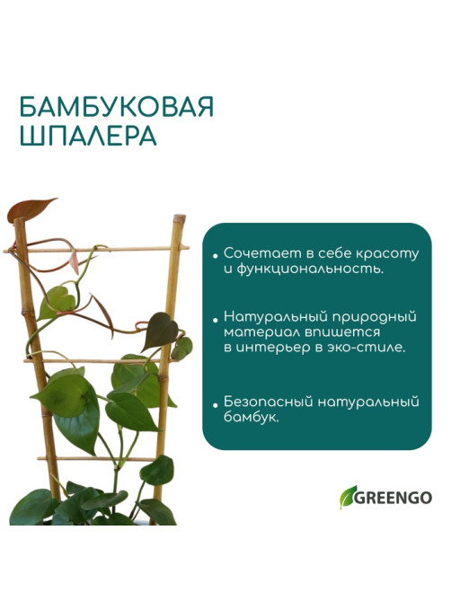Шпалера, 85×31×1 см, бамбук, «Одинарная», Greengo